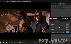 Пот Плеер для Виндовс 8